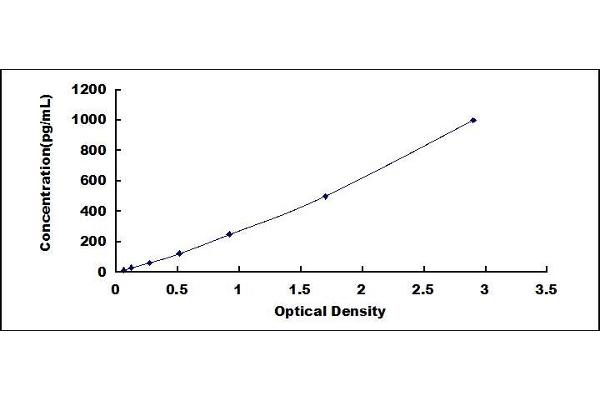 FNDC5 ELISA Kit