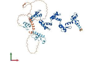 AlphaFold protein structure predicition of Human Recombinant ZNF570 Protein, UniprotID Q96NI8