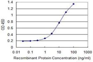 Detection limit for recombinant GST tagged SFRS9 is 0. (SFRS9 antibody  (AA 1-100))