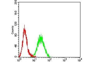 Flow Cytometry (FACS) image for anti-Lysine (K)-Specific Methyltransferase 2B (KMT2B) (AA 445-599) antibody (ABIN7193438)