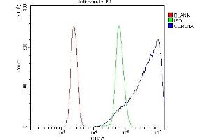 anti-Coronin, Actin Binding Protein, 1A (CORO1A) (AA 173-461) antibody