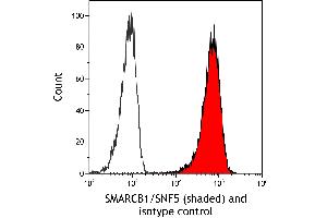 Flow Cytometry (FACS) image for anti-SWI/SNF Related, Matrix Associated, Actin Dependent Regulator of Chromatin, Subfamily B, Member 1 (SMARCB1) (AA 225-275) antibody (ABIN7795716)