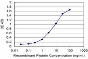 Detection limit for recombinant GST tagged SUPT5H is approximately 0. (SUPT5H antibody  (AA 981-1087))