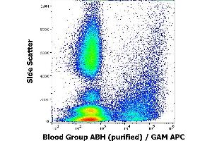 Flow cytometry surface staining pattern of human peripheral whole blood from group A donor stained using anti-blood group ABH (HE-10) purified antibody (concentration in sample 4 μg/mL, GAM APC). (Blood Group ABH antibody)