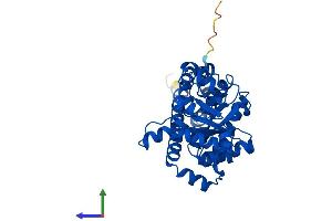 Protein Structure (PS) image for Transaldolase 1 (TALDO1) (AA 1-337) protein (His tag) (ABIN7544161)