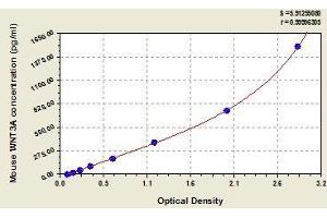 Wingless-Type MMTV Integration Site Family, Member 3A (WNT3A) ELISA Kit