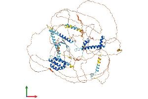 AlphaFold protein structure predicition of Human Recombinant TAF4 Protein, UniprotID O00268 (TAF4 Protein (AA 1-1085) (His tag))