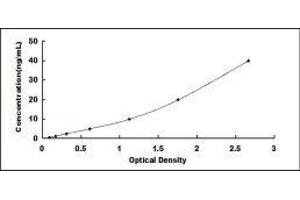 Typical standard curve (DPP4 ELISA Kit)