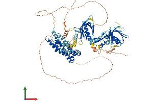 Protein Structure (PS) image for FYVE, RhoGEF and PH Domain Containing 4 (FGD4) (AA 1-766) protein (His tag) (ABIN7547702)