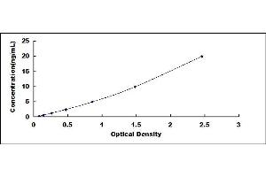 Typical standard curve (DDAH2 ELISA Kit)