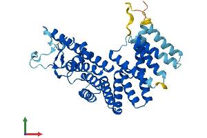 AlphaFold protein structure predicition of Human Recombinant ZMYND12 Protein, UniprotID Q9H0C1