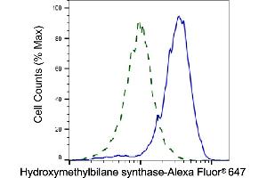 Validation of Hydroxymethylbilane synthase knockdown using flow cytometry.