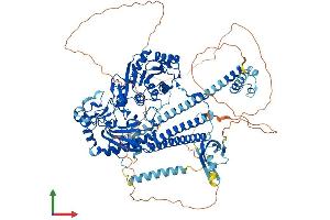 AlphaFold protein structure predicition of Mouse Recombinant Morc2a Protein, UniprotID Q69ZX6 (Microrchidia 2A Protein (MORC2A) (AA 1-1030) (His tag))
