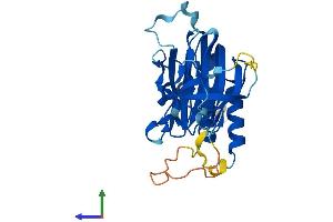 Protein Structure (PS) image for 2-Aminoethanethiol (Cysteamine) Dioxygenase (ADO) (AA 1-270) protein (His tag) (ABIN7552066)
