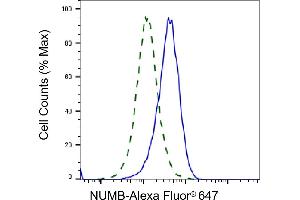 Validation of NUMB knockdown using flow cytometry. (Recombinant NUMB antibody)