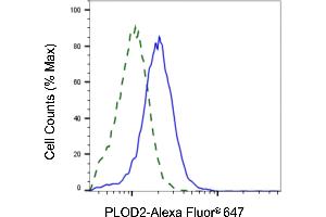 Validation of PLOD2 knockdown using flow cytometry.