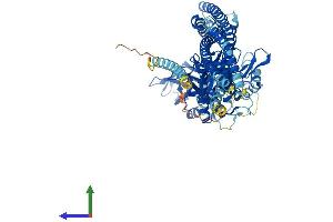 AlphaFold protein structure predicition of Mouse Recombinant Tbk1 Protein, UniprotID Q9WUN2 (TBK1 Protein (AA 1-729) (His tag))