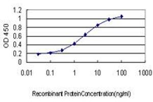 Detection limit for recombinant GST tagged POU3F2 is approximately 0. (POU3F2 antibody  (AA 1-67))