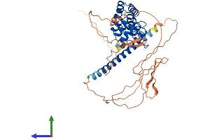 AlphaFold protein structure predicition of Human Recombinant GABPB2 Protein, UniprotID Q8TAK5 (GABPB2 Protein (AA 1-448) (His tag))