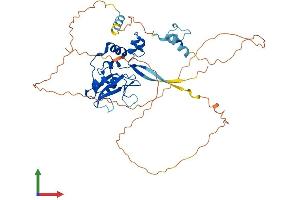 AlphaFold protein structure predicition of Mouse Recombinant Socs4 Protein, UniprotID Q91ZA6
