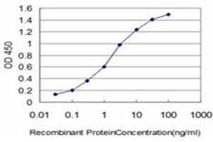 Detection limit for recombinant GST tagged HOXB7 is approximately 0. (HOXB7 antibody  (AA 55-120))
