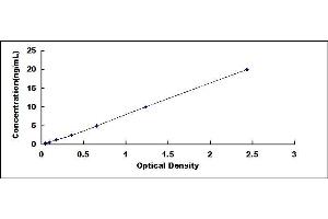 Typical standard curve (NPC1 ELISA Kit)