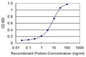 Detection limit for recombinant GST tagged QDPR is 0. (QDPR antibody  (AA 1-244))