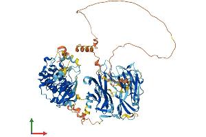 AlphaFold protein structure predicition of Mouse Recombinant Map4k2 Protein, UniprotID Q61161