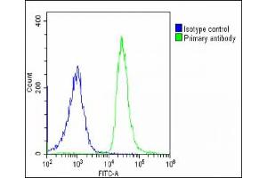 Overlay histogram showing U-2 OS cells stained with (ABIN6242869 and ABIN6578890)(green line). (SHC2 antibody  (AA 129-163))