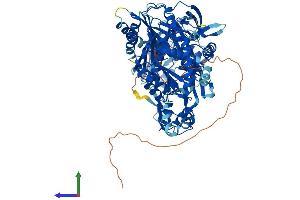 AlphaFold protein structure predicition of Human Recombinant PIWIL4 Protein, UniprotID Q7Z3Z4 (PIWIL4 Protein (AA 1-852) (His tag))