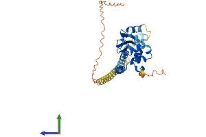 Protein Structure (PS) image for Testis Specific Protein, Y-Linked 2 (TSPY2) (AA 1-308) protein (His tag) (ABIN7544929)
