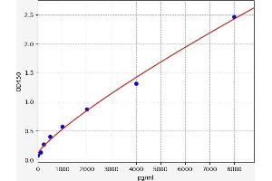 Cytochrome P450, Family 19, Subfamily A, Polypeptide 1 (CYP19A1) ELISA Kit