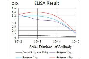Red: Control Antigen (100ng) ; Purple: Antigen (10ng) ; Green: Antigen (50ng) ; Blue: Antigen (100ng). (HAS3 antibody)