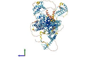 AlphaFold protein structure predicition of Human Recombinant TIMELESS Protein, UniprotID Q9UNS1 (TIMELESS Protein (AA 1-1208) (His tag))