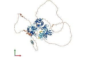 AlphaFold protein structure predicition of Human Recombinant MAP3K2 Protein, UniprotID Q9Y2U5 (MAP3K2 Protein (AA 1-619) (His tag))
