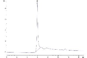 The purity of Human LAG3 is greater than 95 % as determined by SEC-HPLC. (LAG3 Protein (AA 23-450) (Fc Tag))