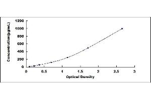 Typical standard curve (GDF15 ELISA Kit)