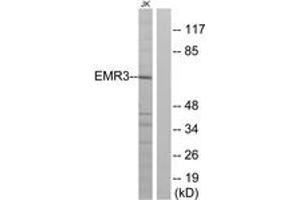 Western Blotting (WB) image for anti-Egf-Like Module Containing, Mucin-Like, Hormone Receptor-Like 3 (EMR3) (AA 603-652) antibody (ABIN2890770) (EMR3 antibody  (AA 603-652))