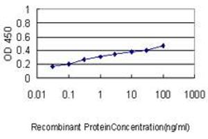 ELISA image for anti-Signal Transducer and Activator of Transcription 1, 91kDa (STAT1) (AA 613-712) antibody (ABIN563024)