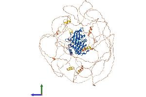 AlphaFold protein structure predicition of Human Recombinant TTBK2 Protein, UniprotID Q6IQ55