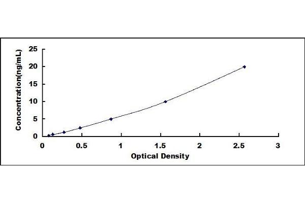 LTA4H ELISA Kit