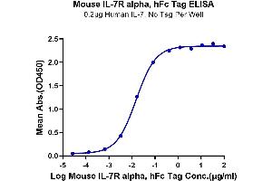 Immobilized Human IL-7, No Tag at 2 μg/mL (100 μL/well) on the plate. (IL7R Protein (AA 21-239) (Fc Tag))