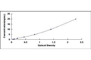 Typical standard curve (HSP70 1A ELISA Kit)