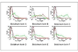 BOSC23 cells were transiently transfected withexpression vectors containing the cDNA of the lightchain of botulinum toxin A-F. (Botulinum Neurotoxin Type B (BoNT/B) antibody)