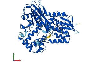 Protein Structure (PS) image for Protoporphyrinogen Oxidase (PPOX) (AA 1-477) protein (His tag) (ABIN7563376)