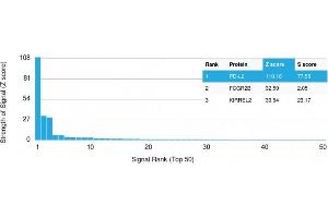 Analysis of Protein Array containing more than 19,000 full-length human proteins using PD-L2 Mouse Monoclonal Antibody (PDL2/2676) Z- and S- Score: The Z-score represents the strength of a signal that a monoclonal antibody (MAb) (in combination with a fluorescently-tagged anti-IgG secondary antibody) produces when binding to a particular protein on the HuProtTM array. (PDCD1LG2 antibody  (AA 27-220))