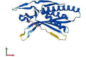 AlphaFold protein structure predicition of Mouse Recombinant Atg101 Protein, UniprotID Q9D8Z6