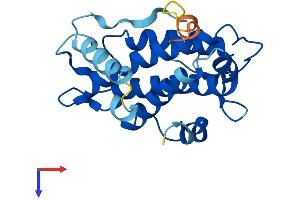 AlphaFold protein structure predicition of Mouse Recombinant Mob3a Protein, UniprotID Q8BSU7 (MOBKL2A Protein (AA 1-217) (His tag))