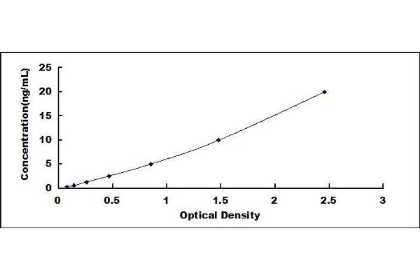 TNFRSF8 ELISA Kit