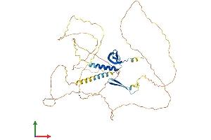 AlphaFold protein structure predicition of Mouse Recombinant Cbx2 Protein, UniprotID P30658